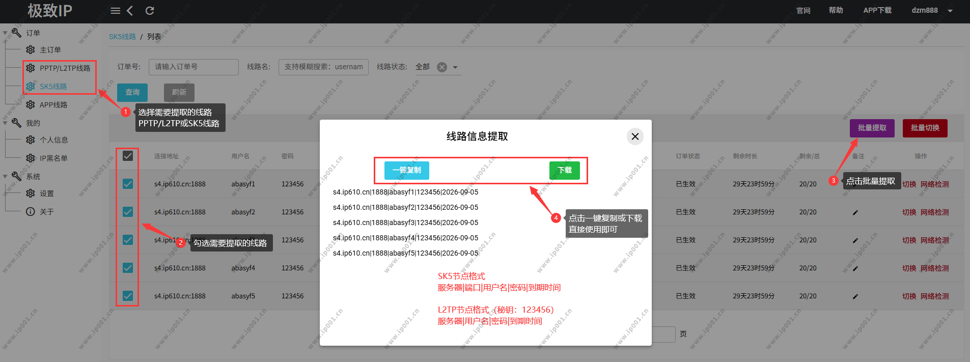 节点导出页面截图