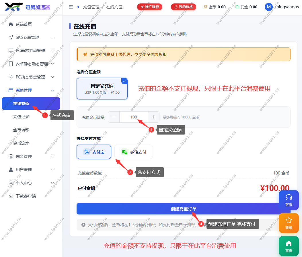 迅腾加速器金币充值截图